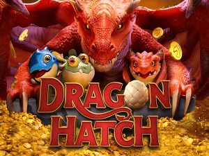 Dragon Hatch